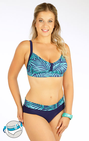 Bikinihose, Hüfthose.